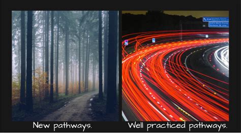 Memory Pathways 的图像结果