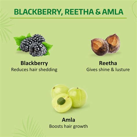 Nyle Naturals Volume Enhance Shampoo - 400ml | Buy Now — CavinKart