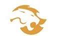 Manufacturer of Industrial Conveyor & Roller Conveyor by Panther ...