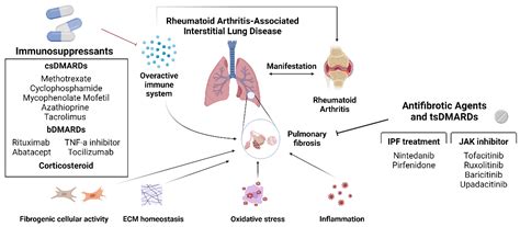 Potential Rheumatoid Arthritis-Associated Interstitial Lung Disease ...