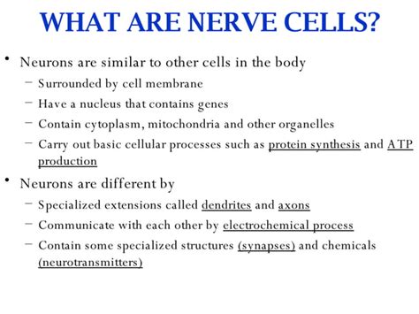 Image result for Nervous System Introduction