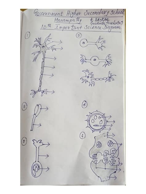 Image result for Chart Science for 10 Class