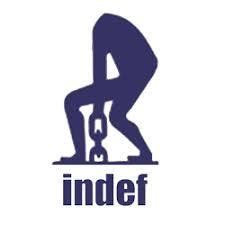 Indef P Triple Spur Gear Chain Pulley Block - Heavy-Duty Lifting at an ...