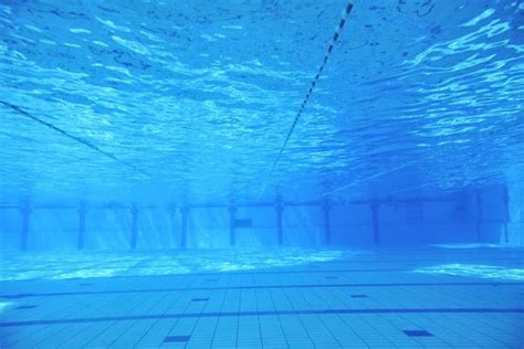 Swimming Pool Underwater 的图像结果