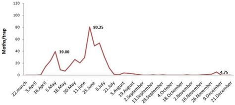 Population Dynamics and Effect of Seed Treatment on Plutella xylostella ...