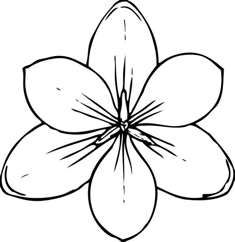 Lotus Flower Line Drawing - Cliparts.co