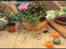 composizioni fiori autunnali una composizione fiorita per l autunno composizioni fiori autunnali una composizione fiorita per l autunno