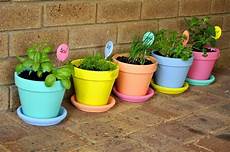 vasi colorati per piante vasi terracotta tante idee originali per realizzare vasi colorati per piante vasi terracotta tante idee originali per realizzare