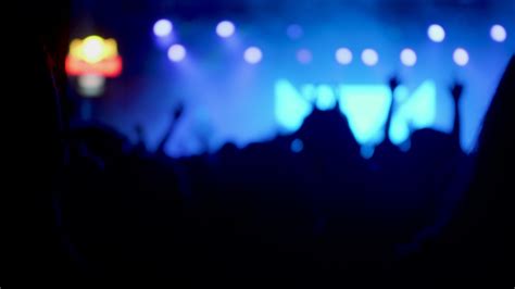 Concert Fans 的图像结果