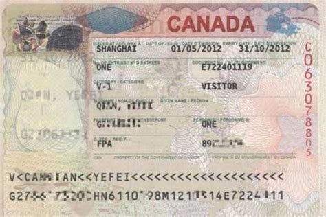 加拿大签证拒签又添新原因_申请人