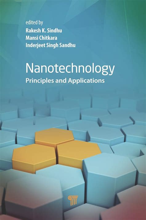 Nanotechnology: Principles and Applications eBook : Sindhu, Rakesh K ...