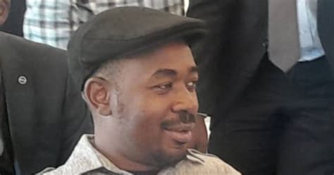 Chamisa Urges Zimbabwe Lawmakers to Press for Diaspora Vote, Auditing ...