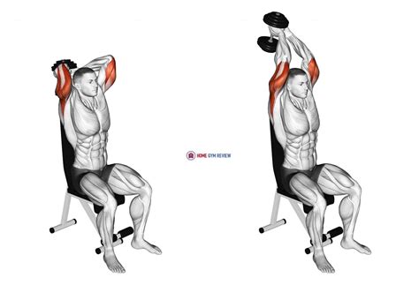 How To Do Dumbbell Overhead Triceps Extension at Eleanor Noel blog