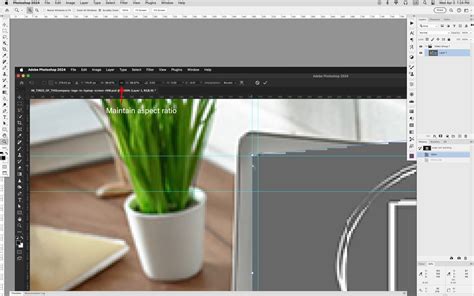 Snap is NOT working - Adobe Product Community - 14532643