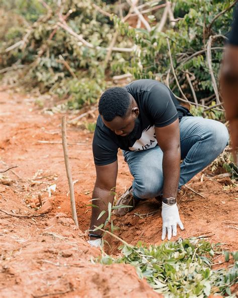 Image result for Tree-Planting Exercise
