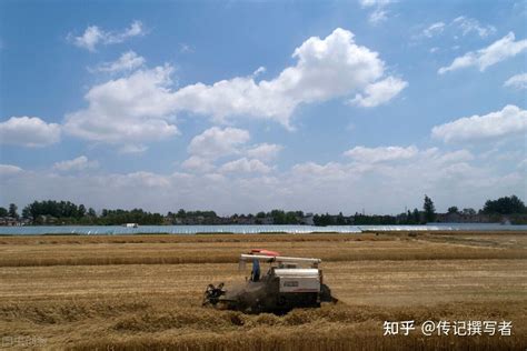 鱼塘摄影图__山水风景_自然景观_摄影图库_昵图网nipic.com