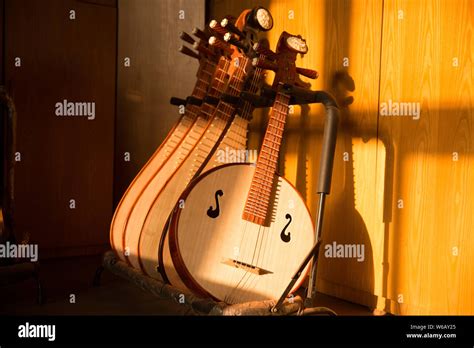 Image result for Plucked String Instrument
