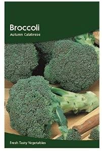 CYBEXIS Broccoli Autumn Calabrese Seeds-250 Seeds Seed Price in India ...