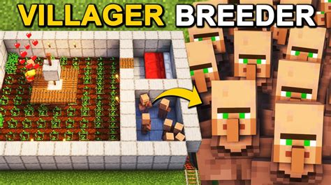 Minecraft Java Villager Breeder 的图像结果