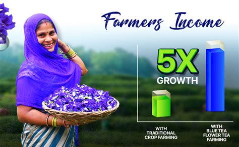 BLUE TEA - Assortment Flower Herbal Sampler Tea Pack (6 Flavors, 30 Tea ...