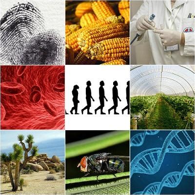 Image result for Life Science Examples