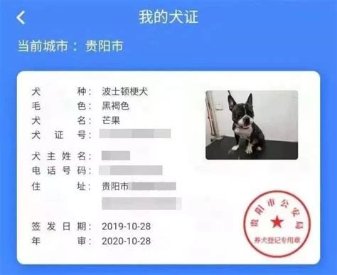贵阳市居住证详细办理流程及所需证件（图）