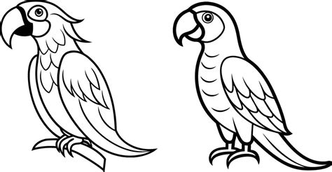 Image result for Parrot Simple Line Drawing Front Veiw