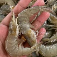 Jual Udang Segar Terdekat - Harga Murah & Grosir Januari 2025