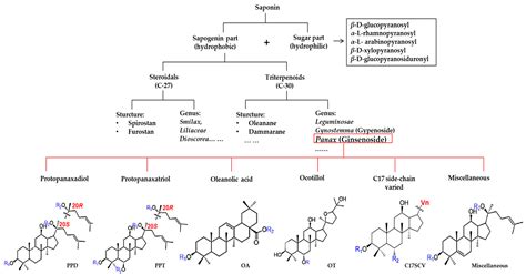 Diversity of Ginsenoside Profiles Produced by Various Processing ...