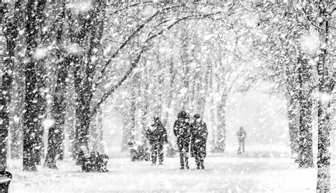 Spend A Snowy Christmas At These Surreal Winter Staycations in India