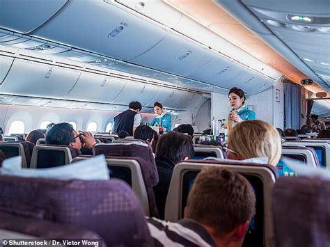 The world's best airlines for 2025 have been revealed, with British ...