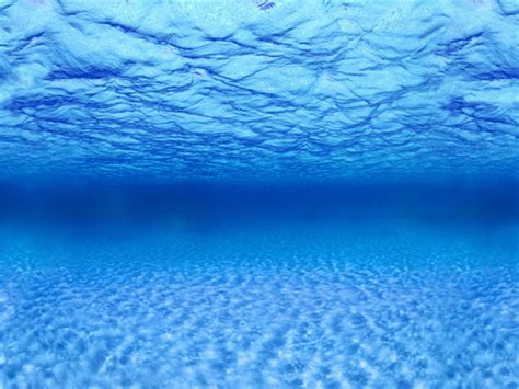 Buy Shalimar Pets Aquarium Background Design No.1 (Lenght: 24 inch ...