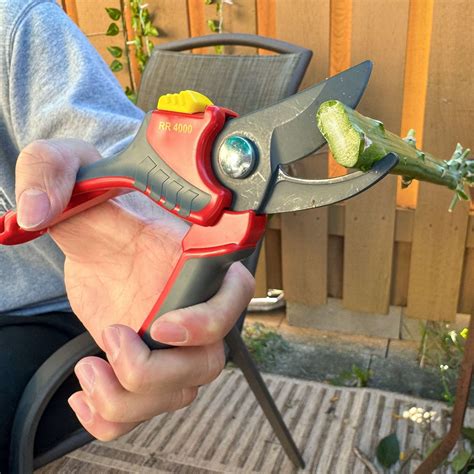 7 Best Pruning Shears of 2025, Tested by Experts