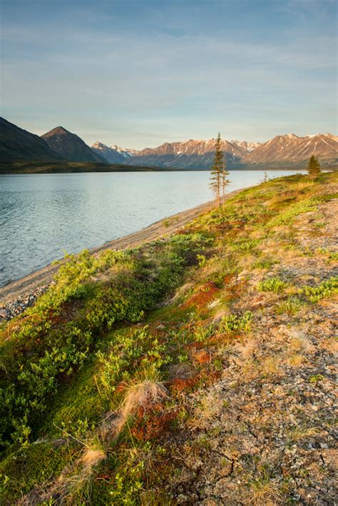 Visit Twin Lakes Alaska: A Wilderness Nirvana in Lake Clark NP
