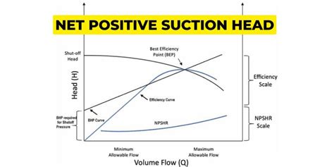 Image result for NPSH Example Problems