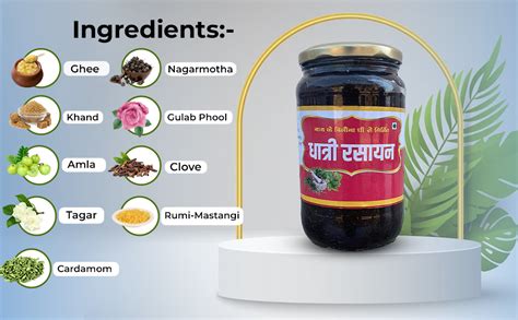 Buy Surya Ketu Suryaketu Dhatri Rasayan Chyawanprash Immunity Booster ...