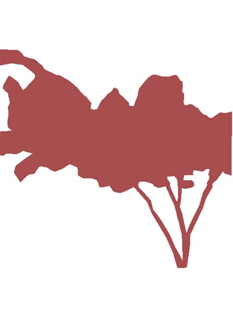 Urban Street: Tree - Dataset Ninja