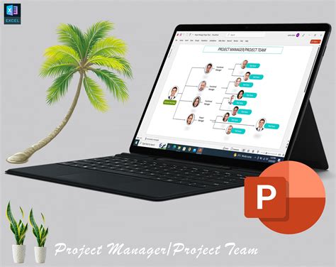 Image result for Project Management Organization Chart