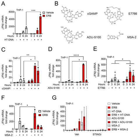 Cancers | Special Issue : Immunotherapy of Triple-Negative Breast Cancer