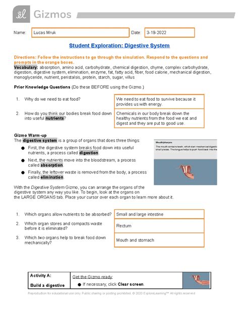 Copy of Digestive System Gizmo Student Exploration Sheet - Name: Lucas ...