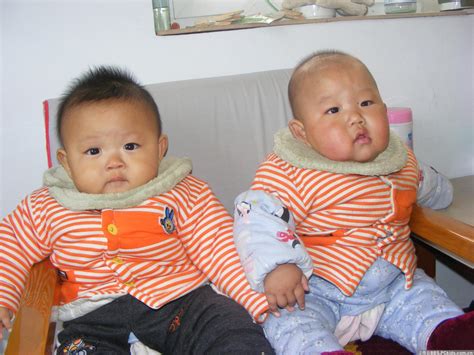 双胞胎宝宝图片大全图片