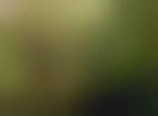 $19 Hotel Suites: San Diego's Rancho Bernardo Inn Offers a Killer ...