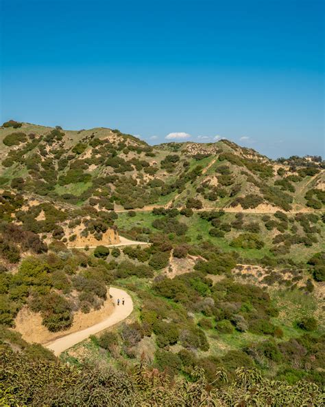 Tips on Griffith Park — Explore More Nature