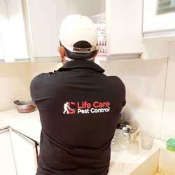 Life Care Pest Control Service in Kolkata, Howrah