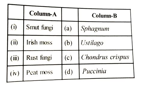 Match of the following columns correctly