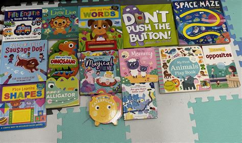 Shanaya's Search-and-Seek Bonanza #kbcBookBingo2024 (Interactive Books ...