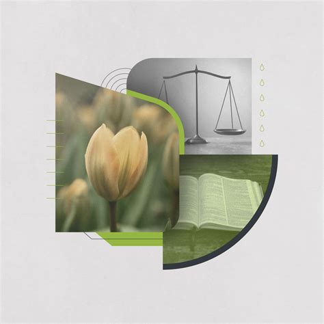 What Is Covenant Theology?