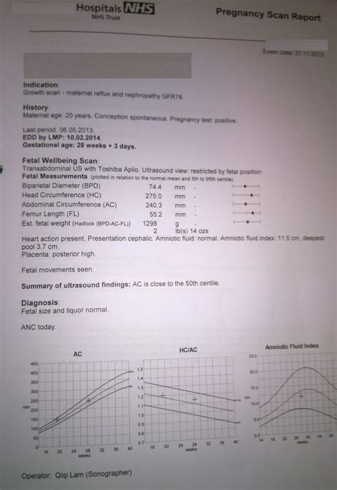 JUSTCALLMECARA: 11-37 WEEKS PREGNANT - GROWTH SCAN RESULTS