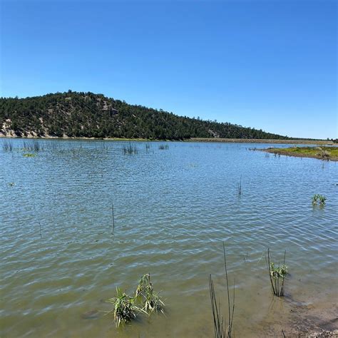 Quemado Lake (2026) - All You MUST Know Before You Go (with Reviews)