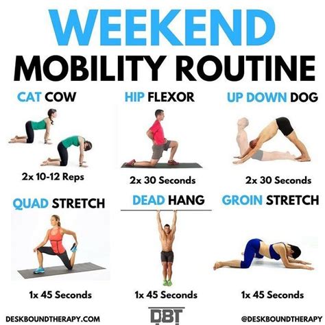 flexibility exercise routine